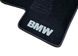 Ворсові килимки BMW X5/X6 (E70/E71) (2006-2013) /чорні, кт 5шт BLCCR1058 AVTM 9