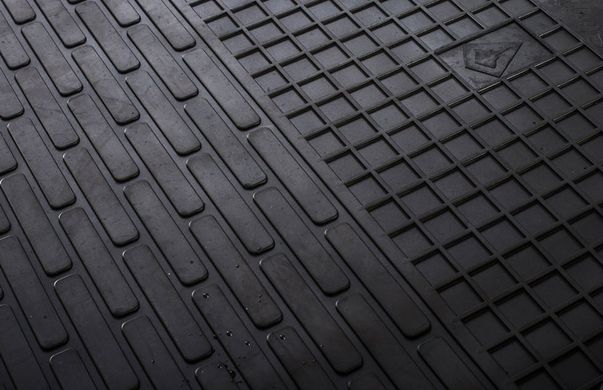Гумові килимки Citroen C1 05-/Toyota Aygo 05-/Peugeot 107 05- (design 2016) (4 шт) 1003114 Stingray