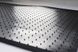 Гумові килимки Daewoo Lanos 97- (2 шт) (design 2016) 1005012 Stingray 5
